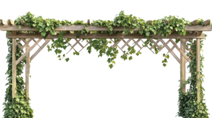 Wood fence and lineage grass on transparent background