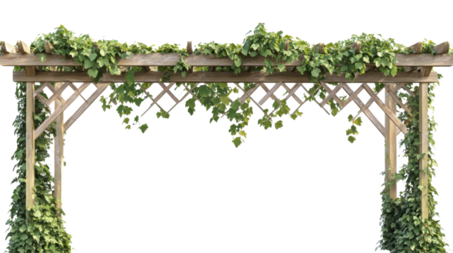 Wood fence and lineage grass on transparent background