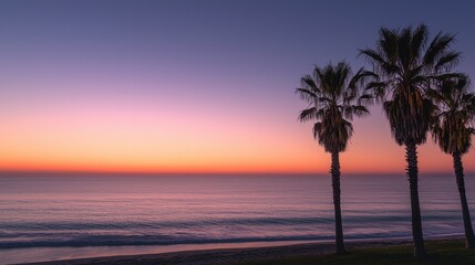 Fototapeta premium Palm trees stand tall against a vibrant sunset over the ocean. The sky transitions from orange to purple, casting reflections on the calm water, creating a tranquil mood
