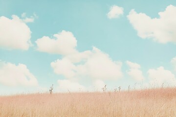 Fototapeta premium Pastel Sky Over Peach-Toned Grassland