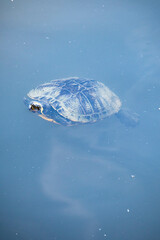 Parco di Teodorico, città di Ravenna, Emilia Romagna
