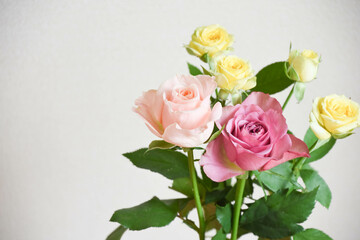 カラフルなばら