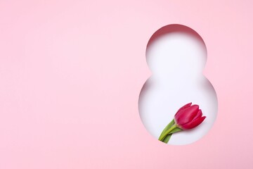 Fototapeta premium 8 March greeting card design with tulip flower, top view. Happy International Women's Day