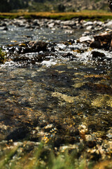Agua de río fluyendo con rocas