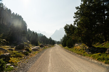 Carretera de montaña entre árboles del bosque 