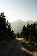 Carretera de montaña entre árboles del bosque con montaña de fondo
