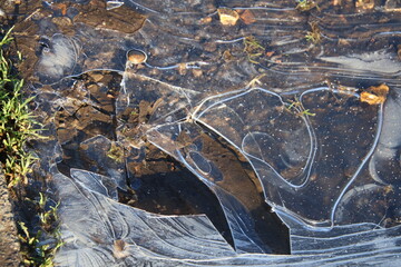 Brocken ice on a puddle