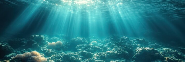 Fototapeta premium Ocean's Tranquility: Sunbeams Dancing on the Seafloor