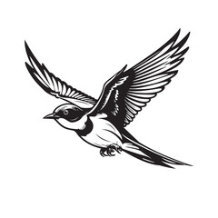 Obraz premium Elegant monochrome illustration of a barn swallow in flight, showcasing graceful wings, a forked tail, and intricate line details, symbolizing freedom. Bird. Wildlife Animals.