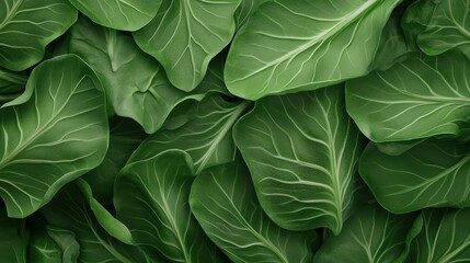 Fototapeta premium Vibrant Green Vegetable Leaves, Rich Chlorophyll Content, Detailed Texture, Nature Background