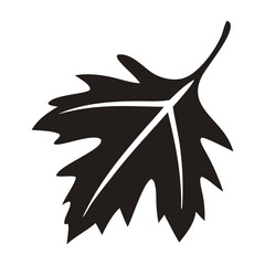 Leaf Silhouette vector art with white background