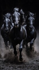 Three black horses running in the dark