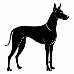 Great Dane silhouette vector black animal on white background