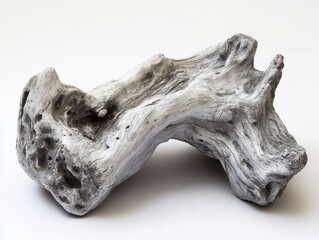 Gray driftwood piece isolated on white background.