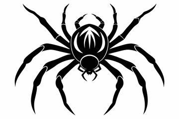 spider line art silhouette vector illustration