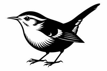 wren bird line art silhouette vector illustration