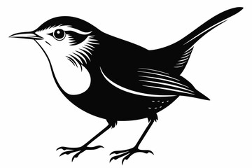 wren bird line art silhouette vector illustration