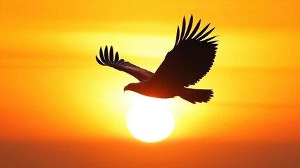 Majestic eagle soaring high in the sky against an orange sunset