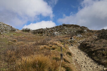 鮮やかな空と色彩を失った大地