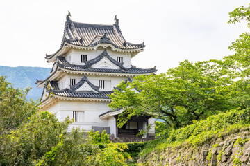 Fototapeta premium 愛媛県宇和島の城、日本、5月