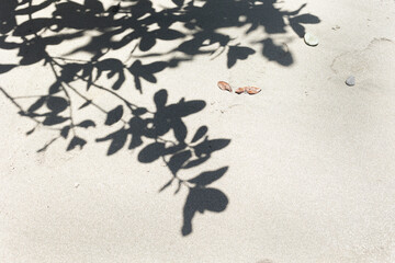 sombra de hojas de árbol reflejadas en la arena de una playa