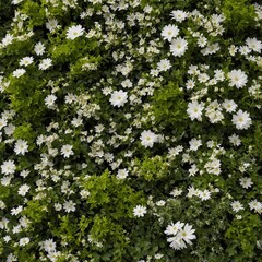 A vertical garden wall featuring various white flowering plants.