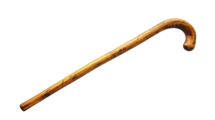 Walking stick isolated on white background 