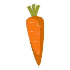 Carrot vector art and illustration