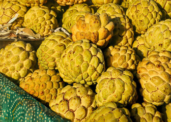 Fototapeta premium Heap of stacked custard apple or sugar pineapple on shop display. sweetsop or Pile of custard apple, Exotic tropical plant, asian fruit. Cherimoya sweet fruits. Annona Background. Sugar apple fruit.