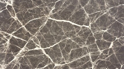 Fototapeta premium Dark Brown Marble Texture with White Veins Seamless Pattern Background