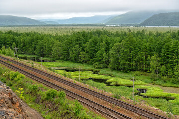 Obraz premium Railway. Transportation industrial. Beautiful nature