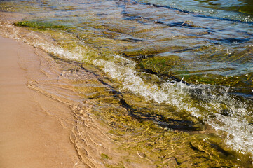 Waves gently lap against the sandy shore while seaweed sways in the water on a sunny day