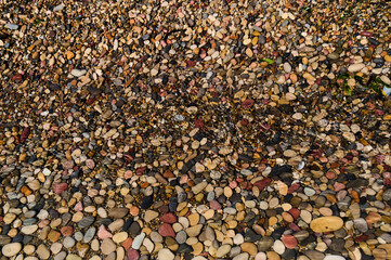 Colorful river stones create a vibrant natural mosaic along the water's edge at sunset in a serene outdoor setting