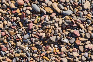 Naklejka premium Smooth pebbles of varying colors scattered across a sunlit beach during midday