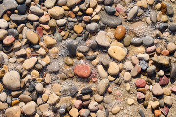 Colorful pebbles scattered by gentle waves along a serene beach on a bright sunny day