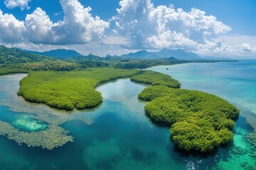 Naklejka premium Lush Mangrove Forest Thriving in a Vibrant Tropical Lagoon