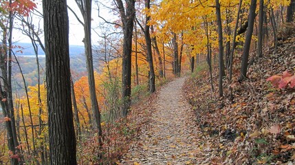 Obraz premium Autumn forest trail overlooking valley. Possible use Nature photography