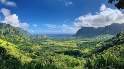Obraz premium Breathtaking Panoramic View of Oahu's Lush Valley and Ocean