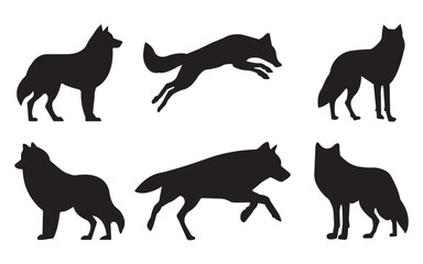 Wolf silhouette set. Dangerous wild animals wolf silhouettes. Wolf full body silhouette collection. Wild wolves standing in different positions. Vector Collection.