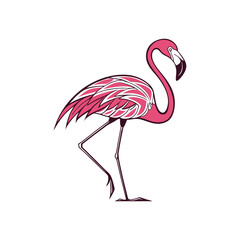 Flamingo logo art and illustration