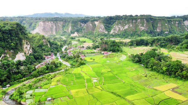Vast Rice Fields in the Harau Valley