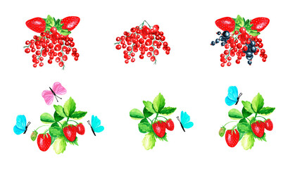 Composition of berries. Strawberries, black currants, red currants and butterflies. Isolated watercolor illustration, hand drawn. Template for postcard, embroidery, sticker