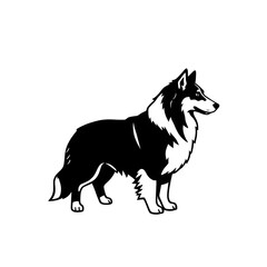 Border collie dog illustration icon, black silhouette vector
