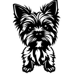 Yorkshire terrier dog illustration icon, black silhouette vector