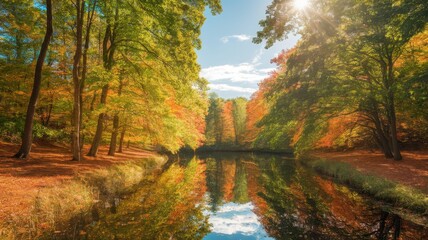 Fototapeta premium Autumn landscape with vibrant foliage reflecting in a tranquil pond, sunlight streaming through the trees, creating a peaceful atmosphere.