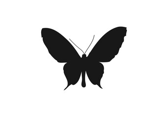 butterfly silhouette logo png template logo icon vector illustration