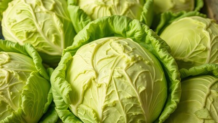 Fototapeta premium Fresh Green Cabbage Closeup - Healthy Harvest