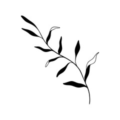 black and white branch with leaves