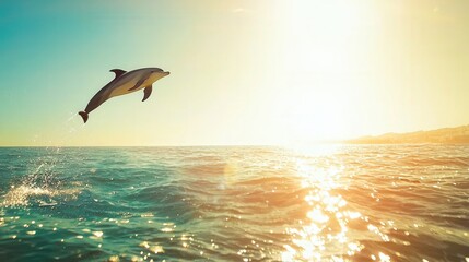 A playful dolphin leaps out of the clear blue ocean, sunlight reflecting off the water and creating sparkling trails of light, with the distant coastline bathed in warm golden sunlight.
