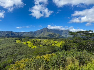 Obraz premium Clear view of Mt Wai' Ale' Ale'